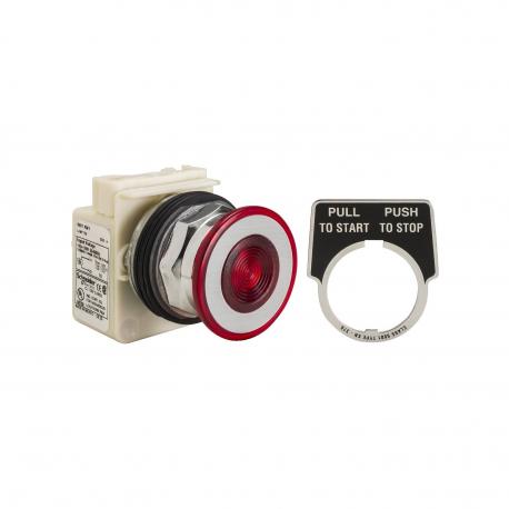 30MM PUSHBUTTON