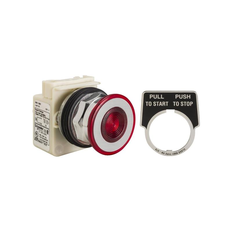30MM PUSHBUTTON