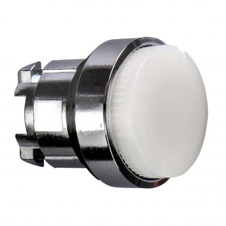 BIAŁY PRZYCISK GŁÓWK Ø22 PUSH-PUSH LED