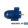 Silnik elektryczny trójfazowy Tamel 3Sg160M-2A-IE2 11 kW B3