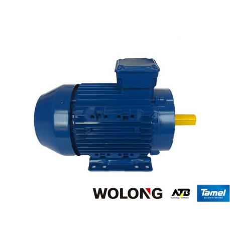 Silnik elektryczny trójfazowy Tamel 3Sg132M-4PC 10kW B3 S3-60% silnik w obudowie progresywnej