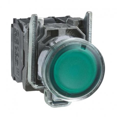 Przycisk płaski zielony żarówka 250V bezpośrednie metalowy