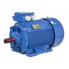 Silnik elektryczny trójfazowy Celma Indukta 2SIE315M-6C IE2 132 kW B3