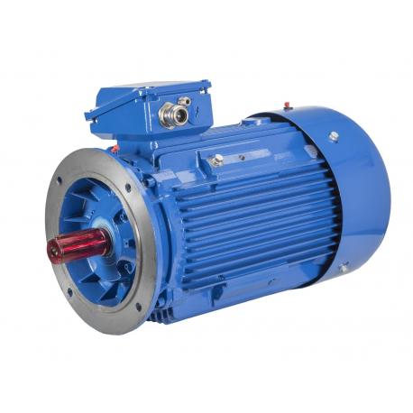 Silnik elektryczny trójfazowy Celma Indukta 2SIEK315M-4C IE2 200 kW B5