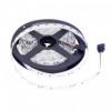 Bemko Taśma Led Professional 12V Dc 3528 600Led/5M 48W Ip20 5Lat Gw. Biała Zimna
